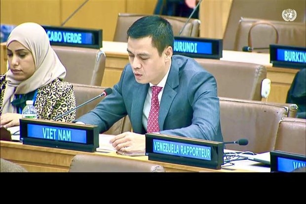 Vietnam affirms complying with international law
